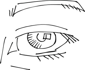 Drawing of the human eye. Sketch of the eyes.