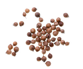 round coriander seeds on white background