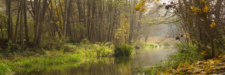 Obraz premium Landscape with a river and trees on an autumn sunny day.