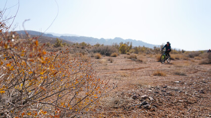 Autumn landscape of the steppe and a cyclist. View of dry bushes, small trees, sand with an orange-red hue, small stones, yellow-green trees. Hills are visible in the distance. A cyclist rides.