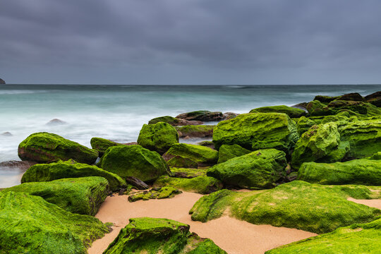 Moody Sunrise at the Seaside with Green Mossy Rocks