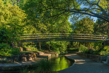 Fototapeta premium bridge over the river