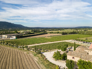 Fototapeta na wymiar Aerial view of vineyards in the countryside of the Provence region in south France