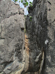 Eric Grimaldi Studio Photography Writing | Thailand and SE Asia | From art to zoology, architecture and religion, immortalisation of instants. 