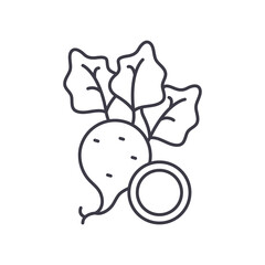 Radish vegetable icon, linear isolated illustration, thin line vector, web design sign, outline concept symbol with editable stroke on white background.