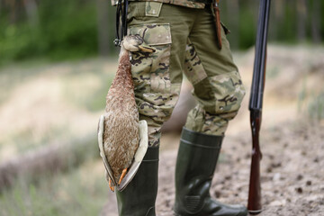 Bird Hunt Dead Wild Duck is Fixed on Hunter Belt.