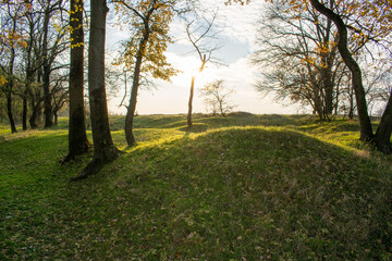Obraz premium Sunset in the autumn plain forest