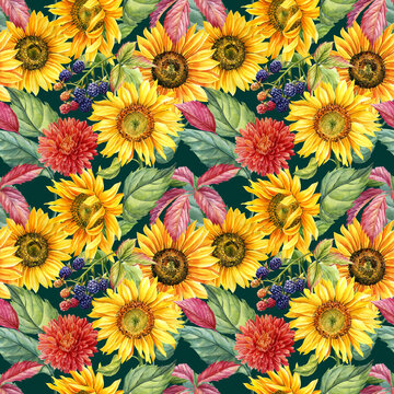 Seamless patterns of chrysanthemum, blackberries, sunflowers, leaves. watercolor floral background