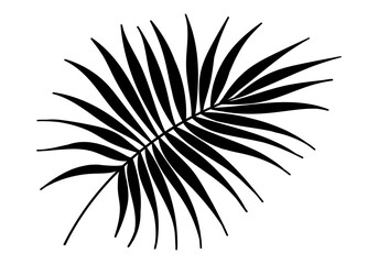 Palm tree leaf silhouette. Tropical branch design. Vector illustration.