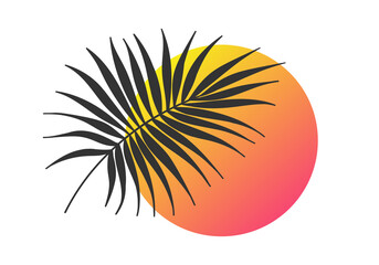 Palm tree leaf silhouette with sun. Tropical branch with sunset design. Vector illustration.