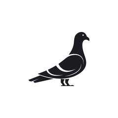 pigeon icon vector illustration design template