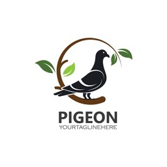 pigeon icon vector illustration design template