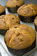 Christmas panettone just cooked out of the oven