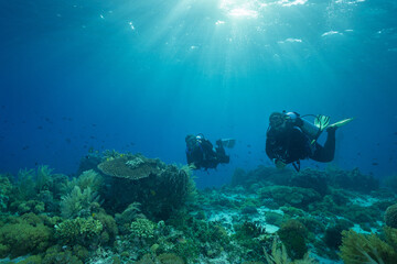 Naklejka na ściany i meble Scuba divers on reef in Indonesia late afternoon with sunlit background