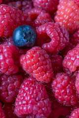 Himbeeren treffen Blaubeere