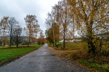 Fototapeta na wymiar asphalt road in the countryside in autumn