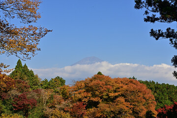 Fototapeta premium Autumn is just around the corner