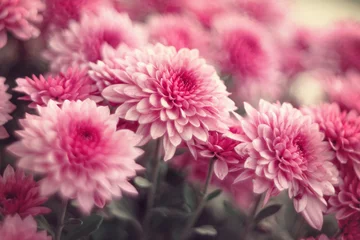 Garteninspirationen © anettastar