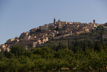 Fototapeta na wymiar Trevi the city of the Olive Oil, Italy