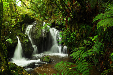 waterfall in the forest