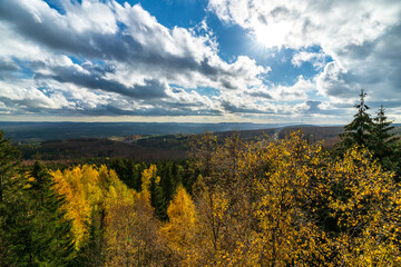 Autumn forest in the Harz mountains