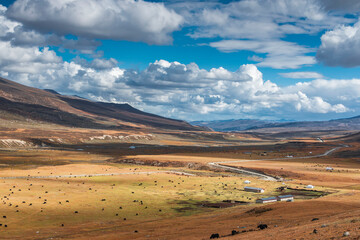 中国四川甘孜稻城秋色