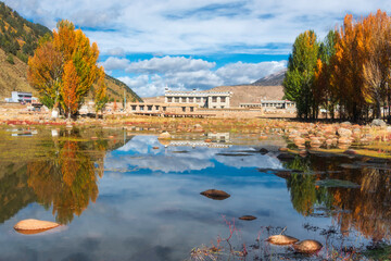 中国四川甘孜稻城秋色