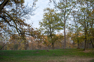 Obraz premium Different colors at sunset in autumn