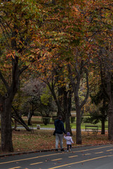 A father and his daughter taking a walk in a park alley. Autumn colours season mood.