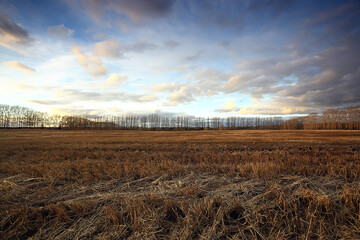 dramatic autumn landscape field sky abstract concept sadness