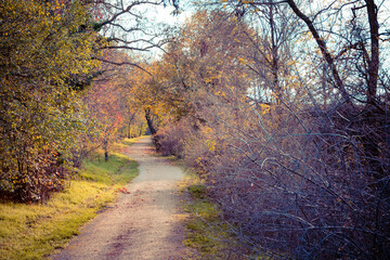 way in the city park in autumn
