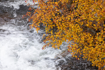 A torrent of cold water, from which the Aragon Subordan River is born, as it passes under the...