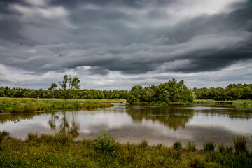 Nature Reserve Country Park
