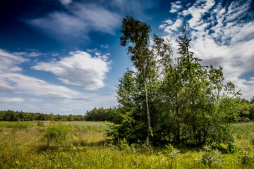 Nature Reserve Country Park