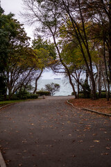 An empty autumn alley in park. Autumn colours season mood. Orange leaves on the ground 