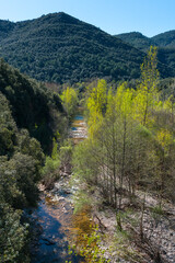 Fototapeta na wymiar Muga river, Muga Albanyà Nature Reserve, Albanyà Valley, Alt Empordà region, Girona Province, Catalonia, Spain