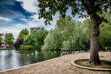 Nature Reserve Country Park