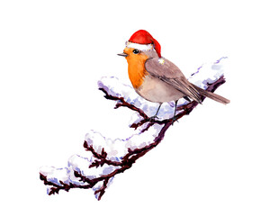 Robin bird in red santa hat branch with snow. Winter watercolor