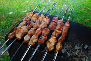 Pork barbecue on a picnic