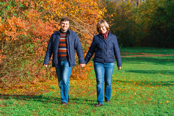 Obraz premium couple walking in autumn city park, happy people together, beautiful nature with colorful leaves