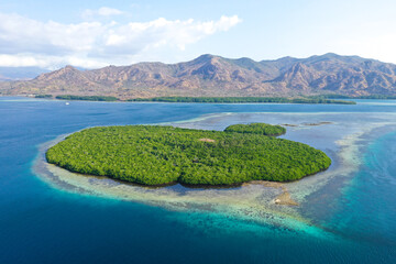 Aerial view of a tropical island in the ocean with mountain