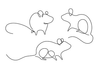 Set of rats in continuous line art drawing style. Mouse minimalistic black line sketch on white background. Vector illustration