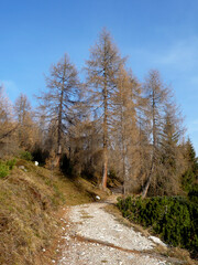 Fototapeta na wymiar Mountain hiking tour to mountain Hohe Munde in Tyrol, Austria
