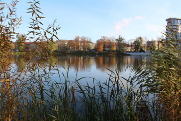 autumn in the park