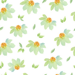 Watercolor camomile seamless pattern, isolated on white