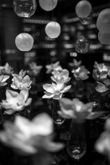 Black and white photo of glass balls and orchid flowers.