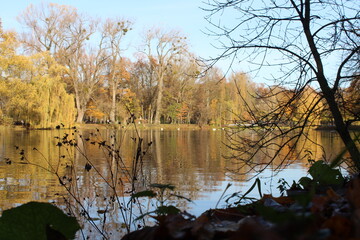 autumn in the park