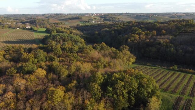 Aerial view bordeaux vineyard in autumn, landscape vineyard south west of france, europe 