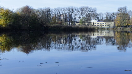 reflection in the water