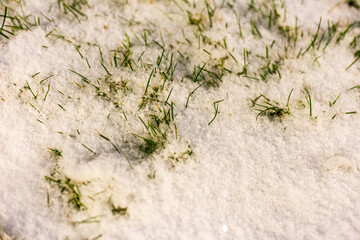 The first snow fell to the ground